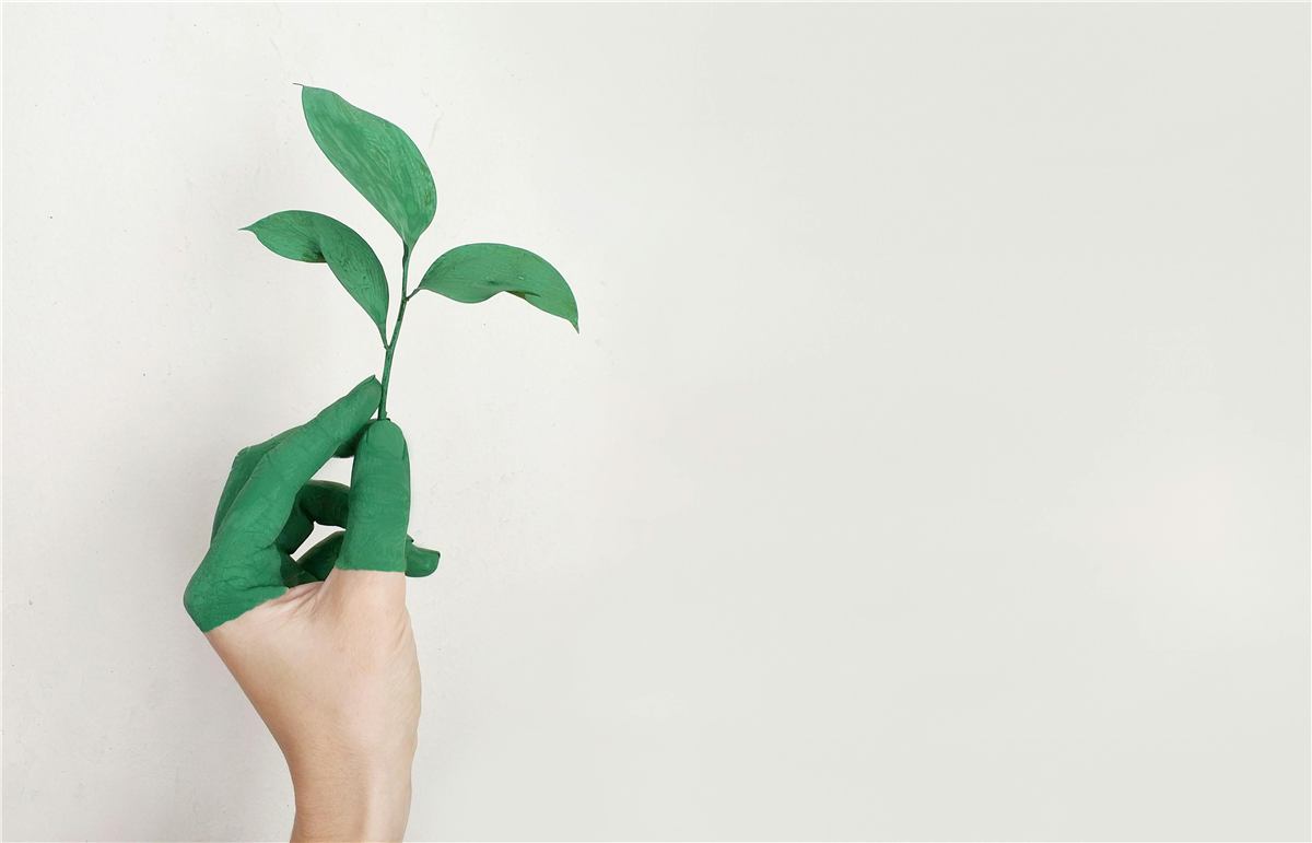 Small Business Energy Solutions